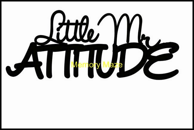 Little Mr attitude 120 x 75 mm